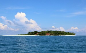 Turtle Island Seligan Island Malaysia