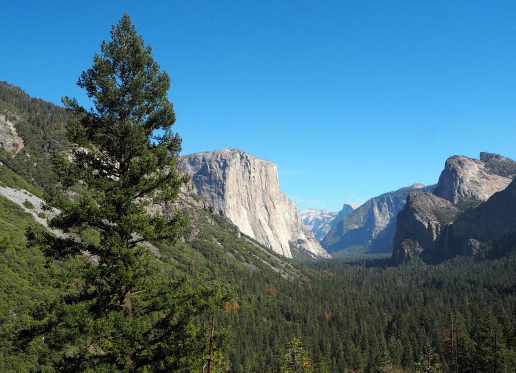 Yosemite El Capitan