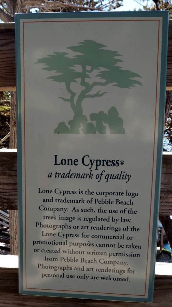 17-Mile Drive The Lone Cypress