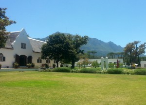 Cape Town vineyard