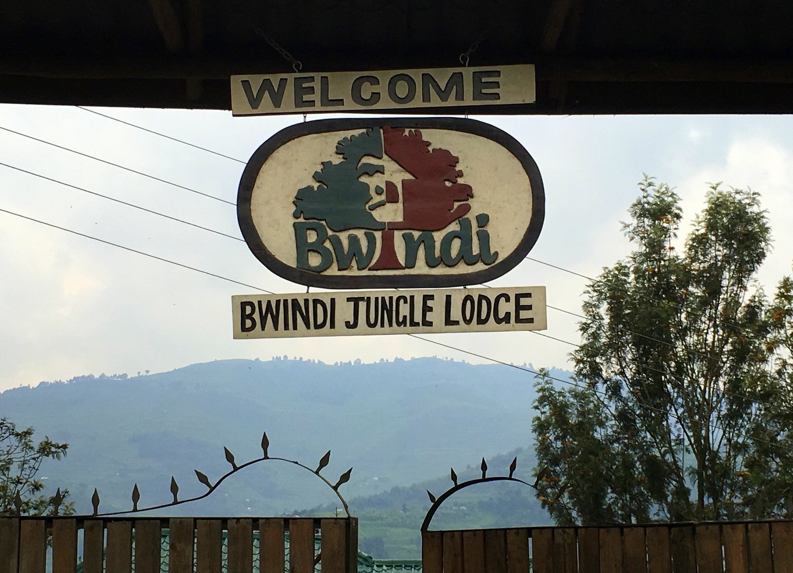 Bwindi Jungle Lodge