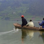 Lintuja Ugandan järvillä