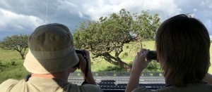 Leopardia kuvaamassa Masai Marassa