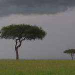Masai Maran maisemat