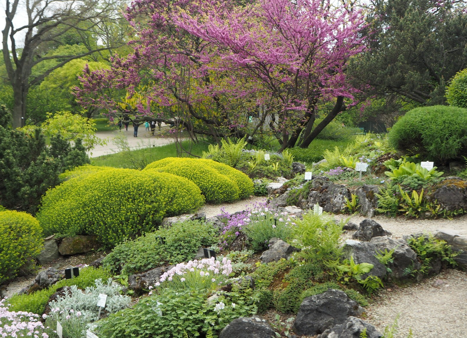 Belvedere Botanic Garden
