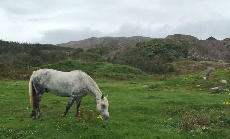 saint pierre feature