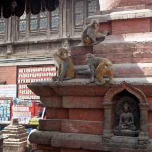 Swayambhunathin Stupa