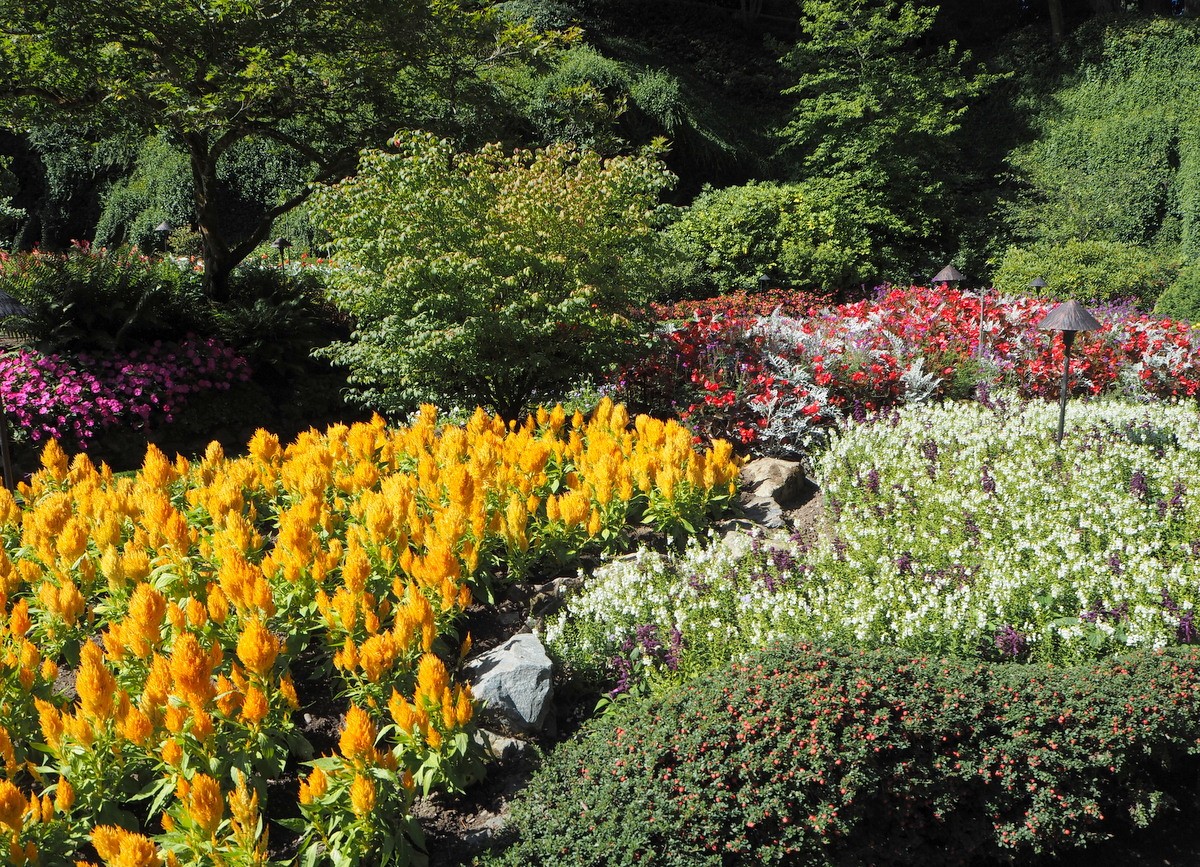Butchart Gardens Vancouver Island