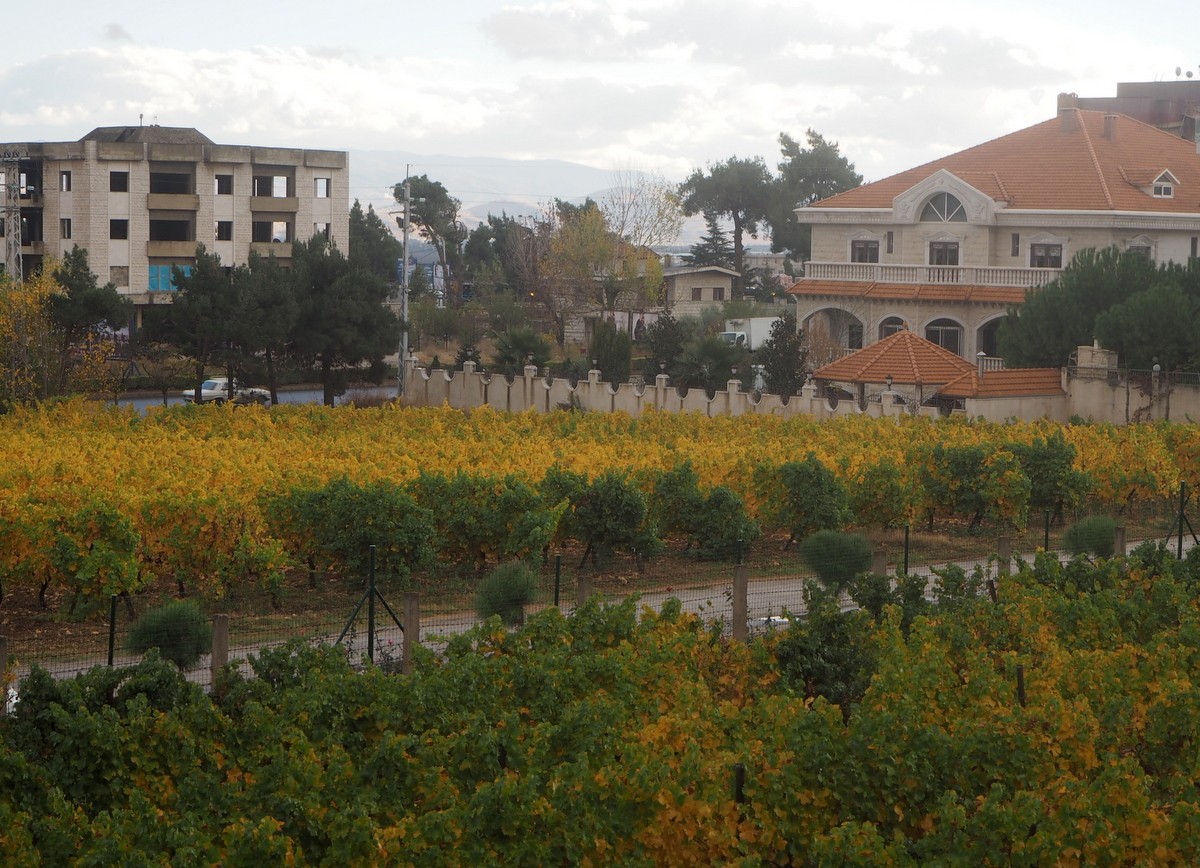 Ksaran viinitila Libanon