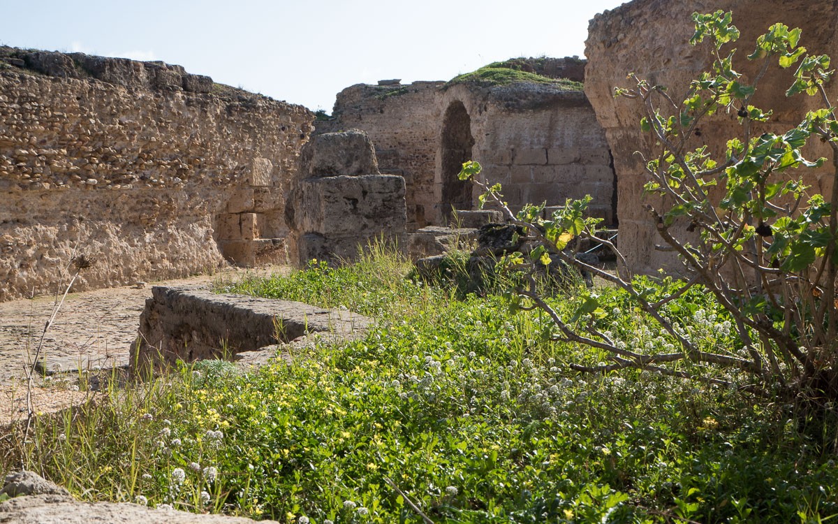 Antonin Baths Karthago