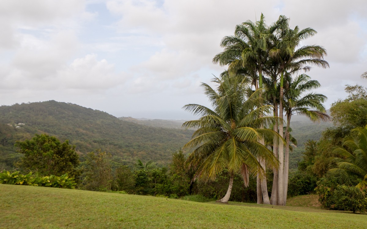 Barbados Mount Hillaby