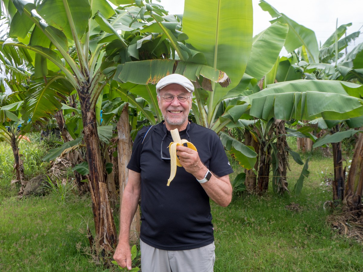 Banaaneja Saint Lucia