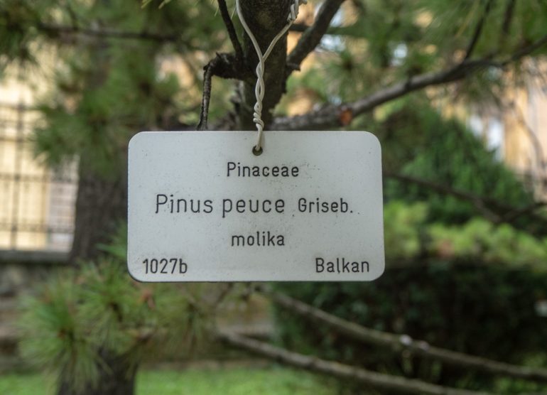 Zagreb kasvitieteellinen puutarha