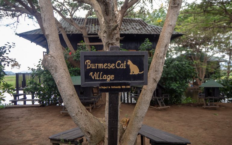 Inle Heritage Burmese Cat village
