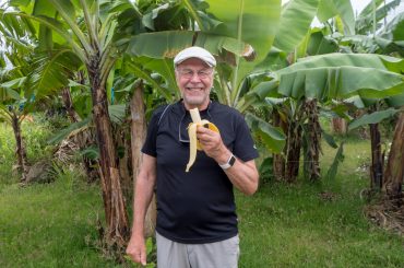 Saint Lucia banaanit