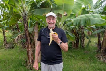 Saint Lucia banaanit