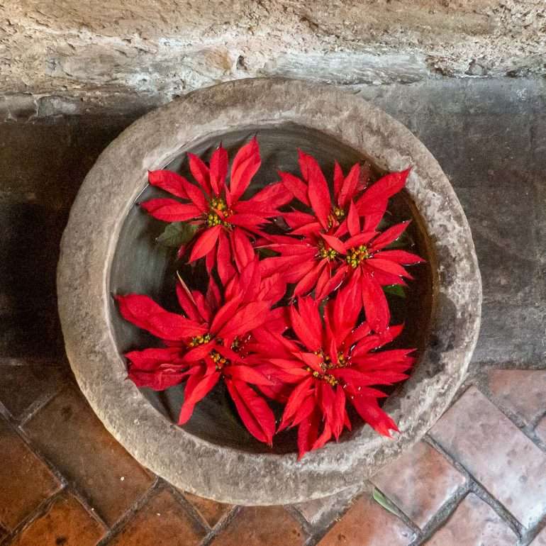 Casa Santo Domingo Antigua