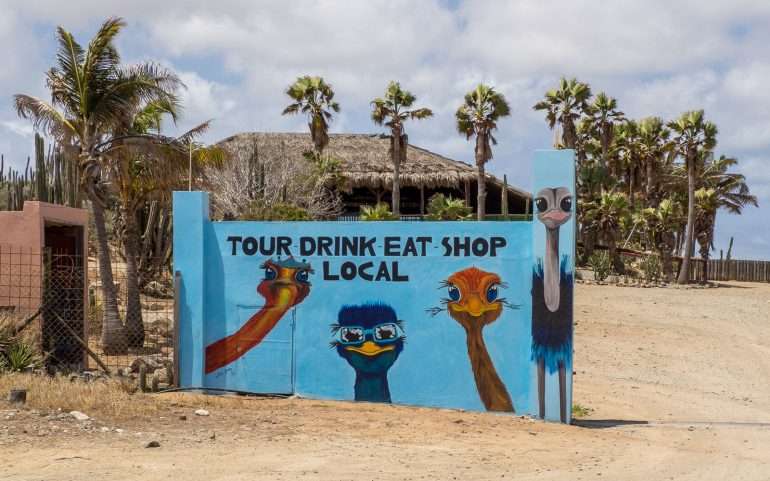 Strutsifarmi Aruba