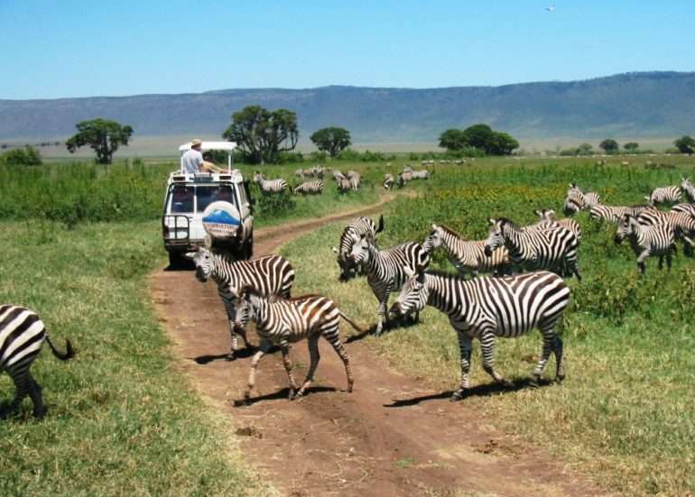 Ngorongoro Tansania