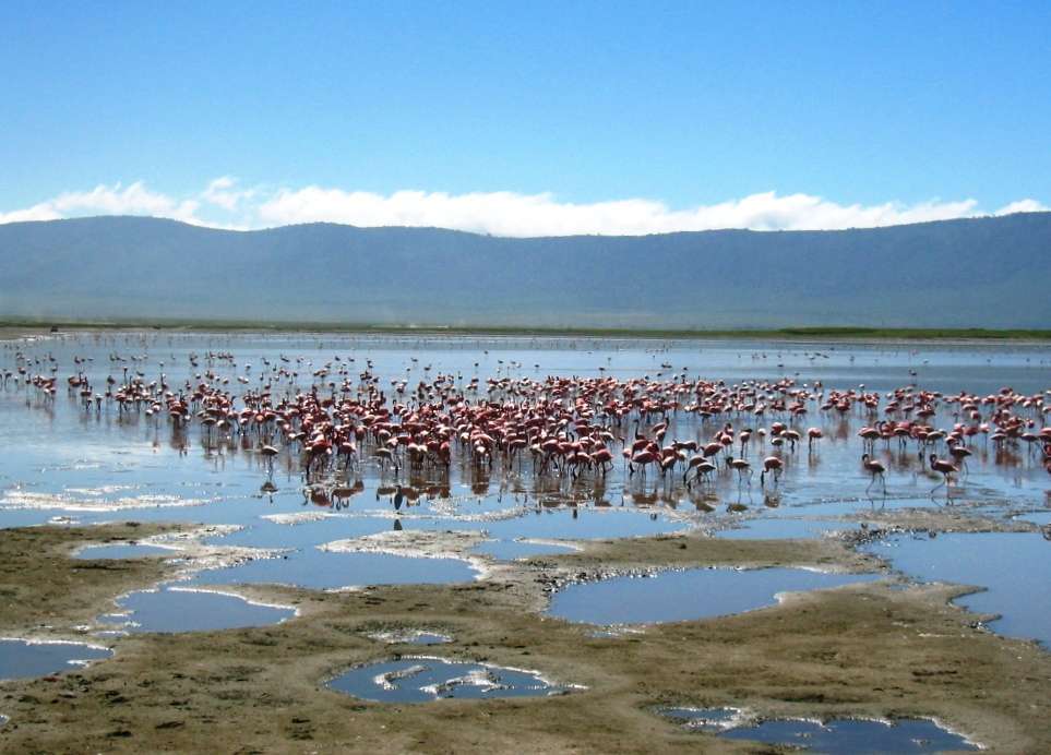Ngorongoro Tansania Parhaat Unescon maailmanperintökohteet