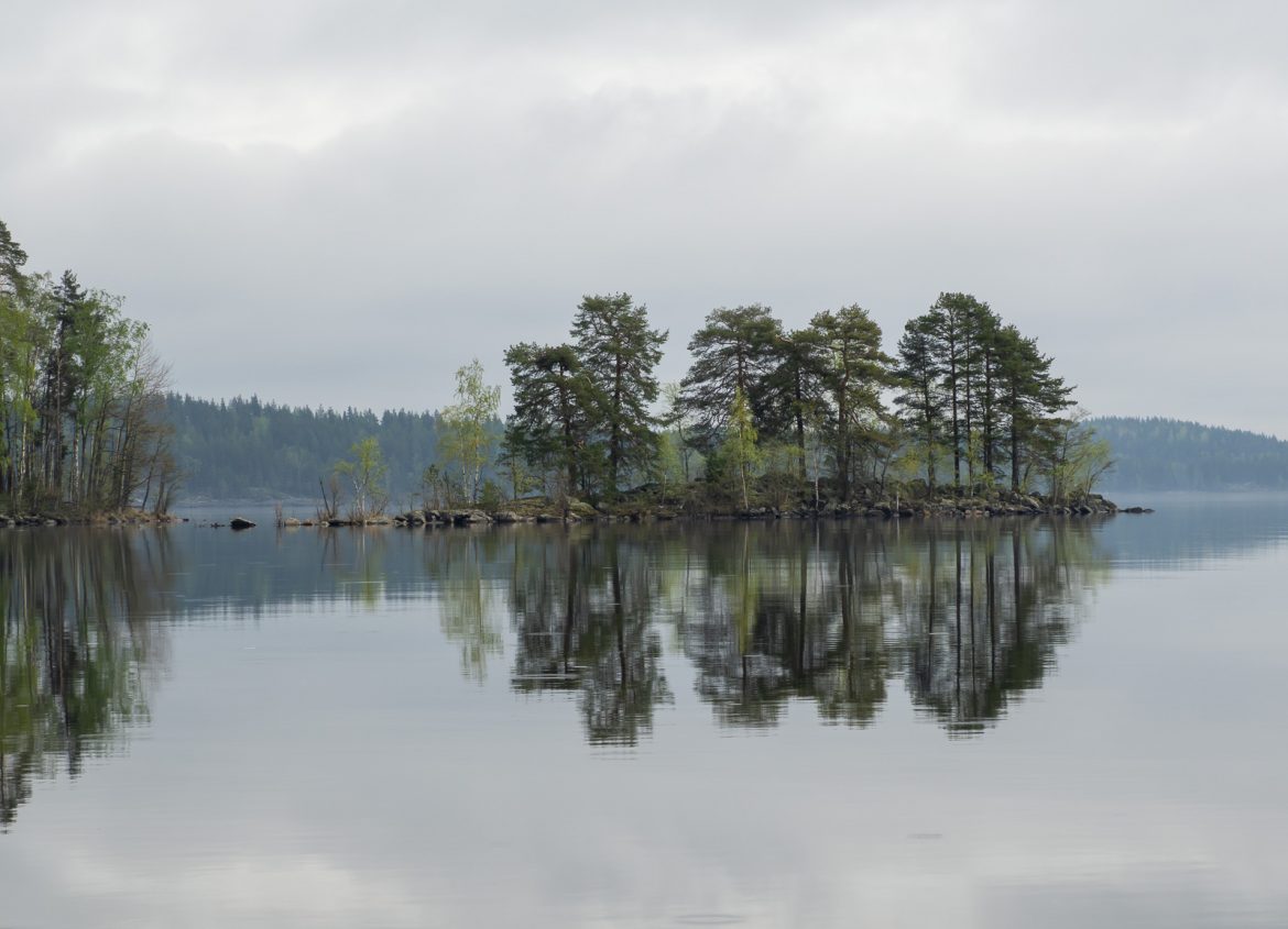 Norpparetki Järvisydän