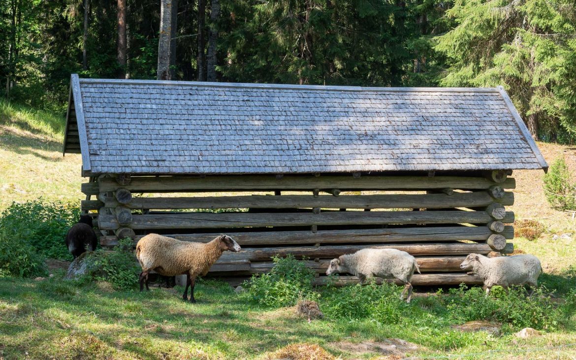 Seitsemisen kansallispuisto