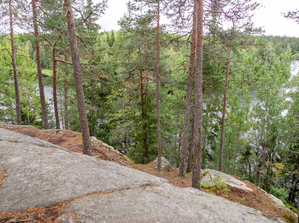 Liesjärvi