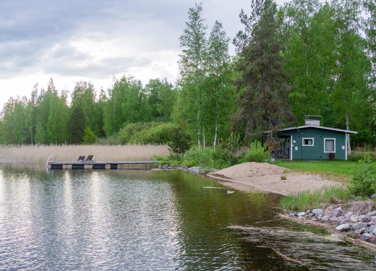 Salonsaari