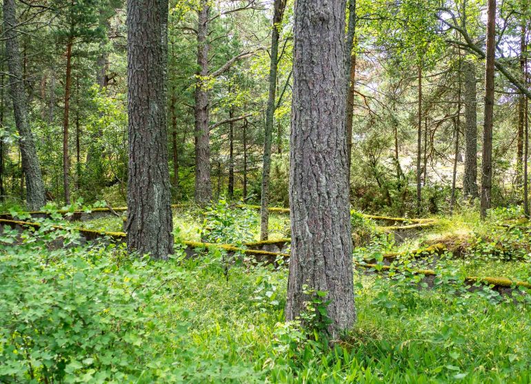 Luontopolku Itäisen suomenlahden kansallispuisto