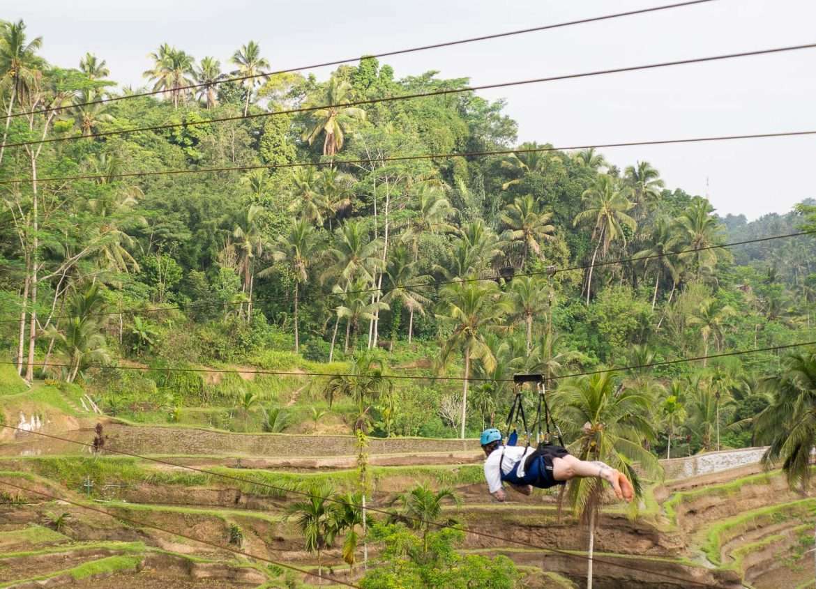 Tegallalangin riisiterassit