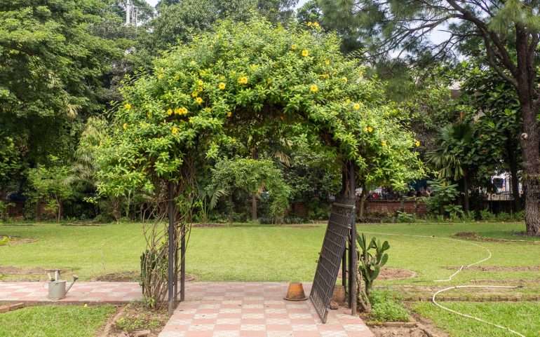 Kasvitieteellinen puutarha Dhaka