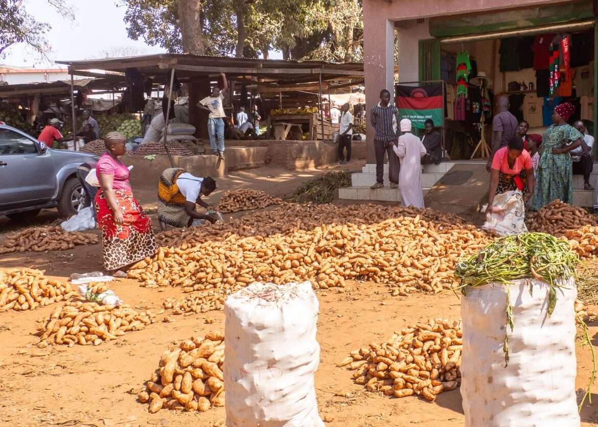 Lizulu market