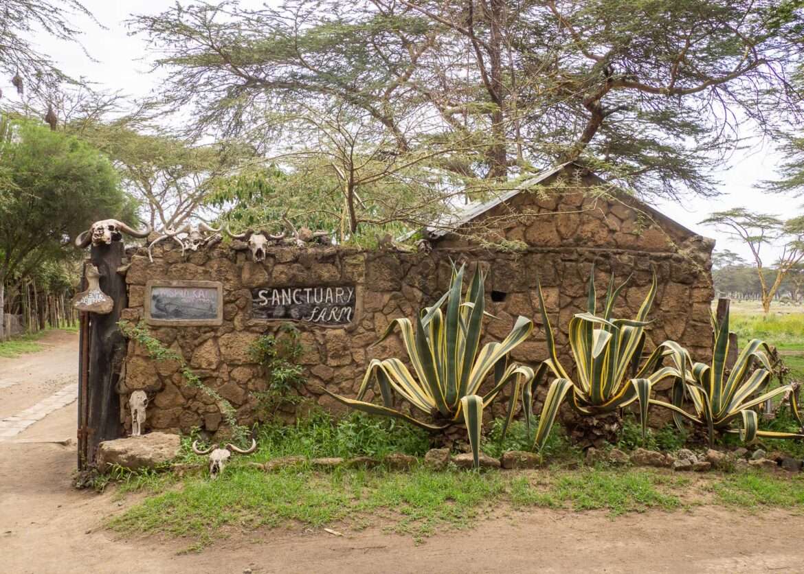 Sanctuary Farm Naivasha