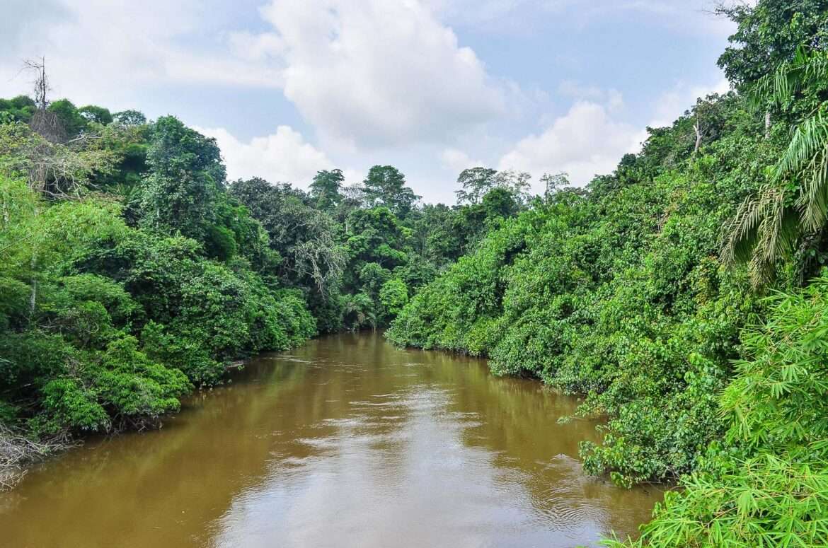 Kongo-joki