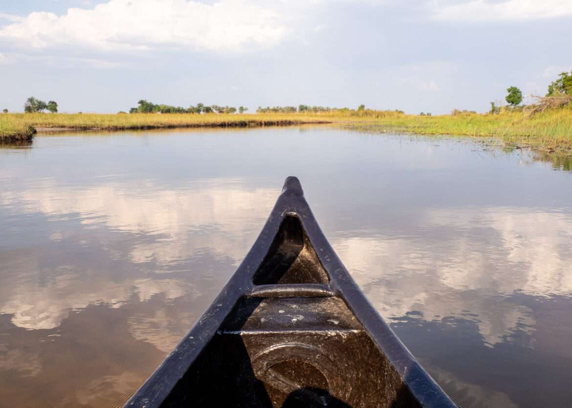 Mokoro-vene Okavangon suisto kuvina