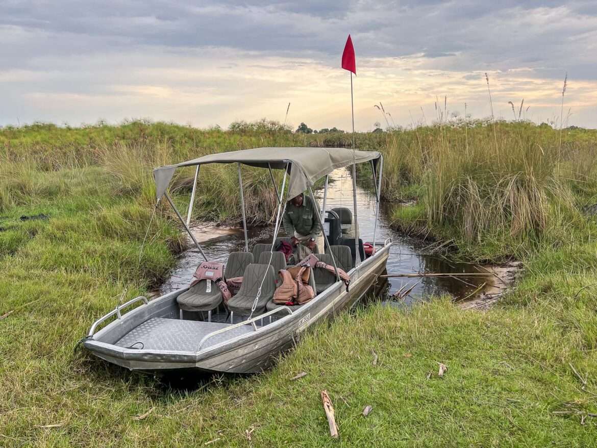 Safarivene Okavangon suisto