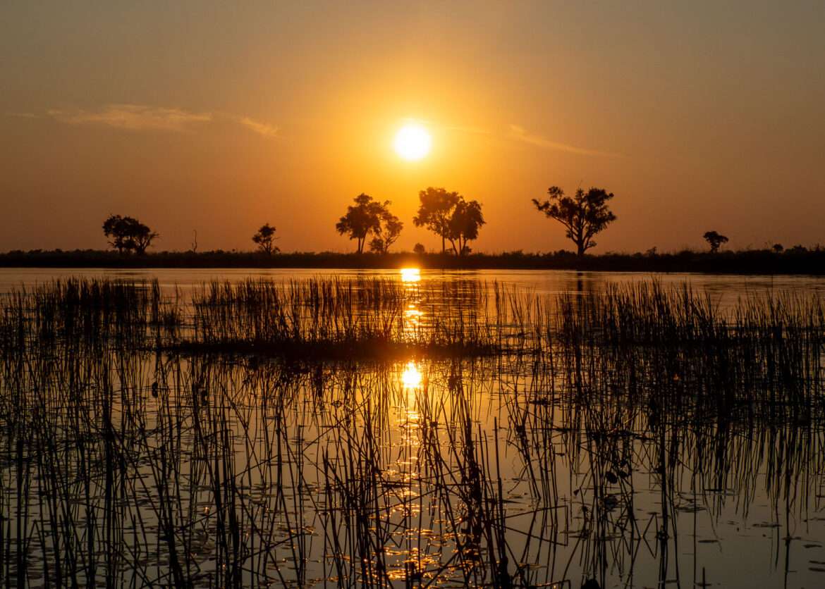 Auringonlasku Okavangon suisto