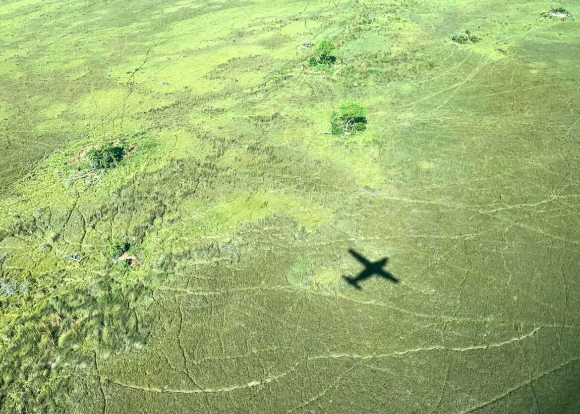 Okavangon suisto