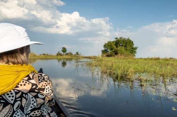Camp Okavango Botswana feature