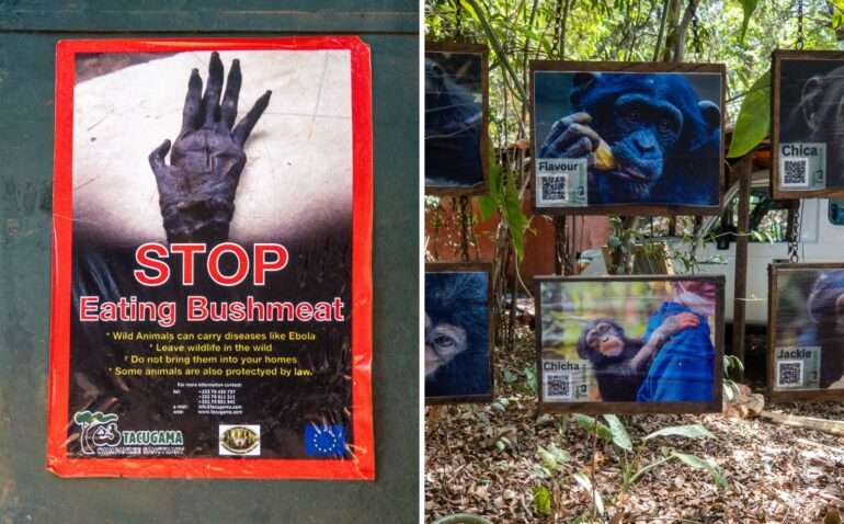 Tacugama SIerra Leone