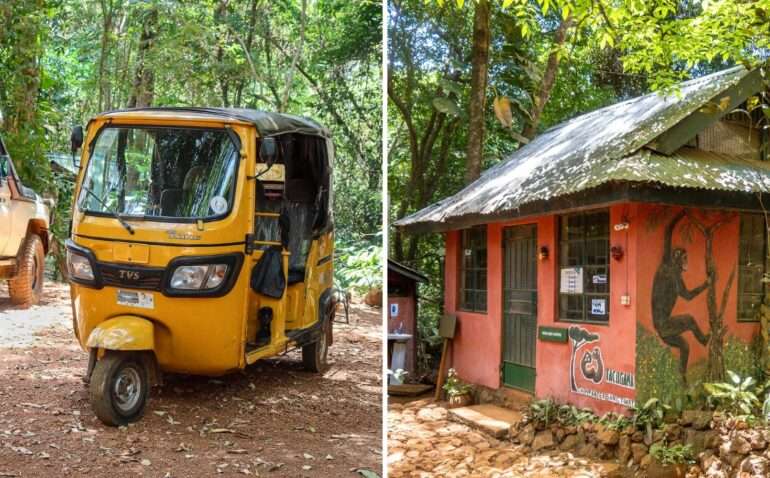 Tacugama SIerra Leone
