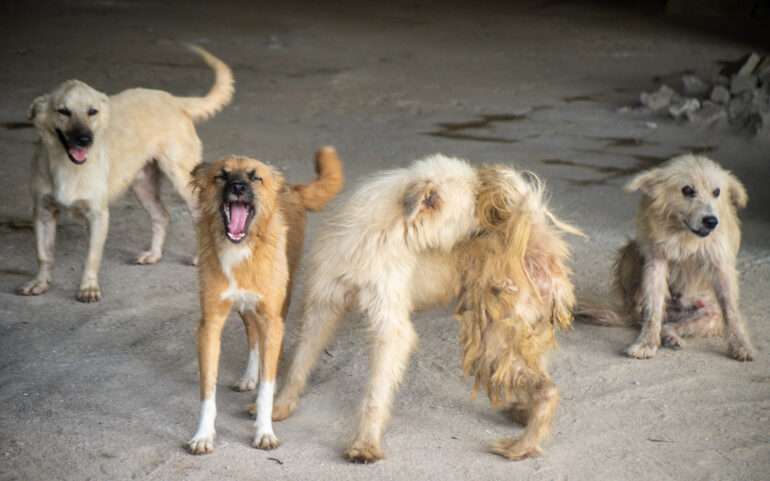 Hotel Africa Monrovia Liberia