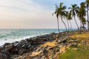 Liberian rannoilla feature