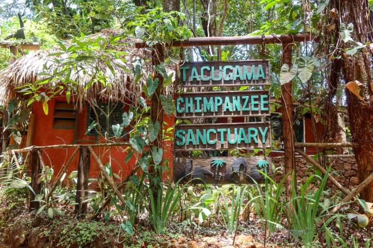 Tacugama Sierra Leone