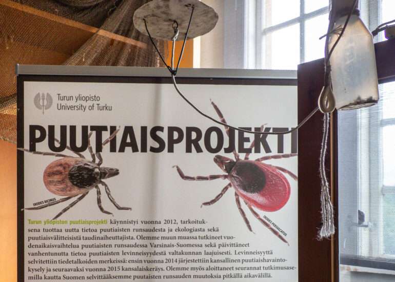 Puutiaisprojekti Seili