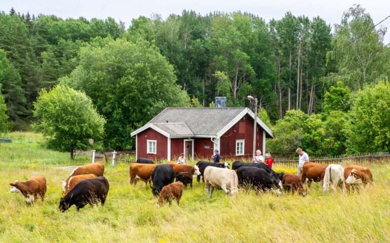 Perinnemaiseman hoitajia