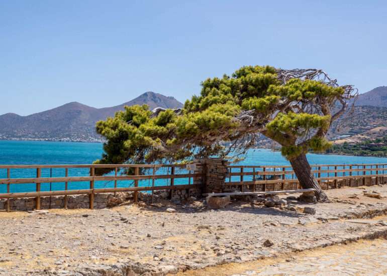 Spinalonga The Eagle of Spinalonga