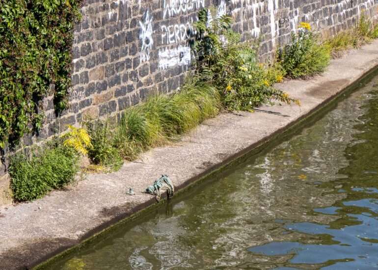 Pyykinpesijäkääpiö