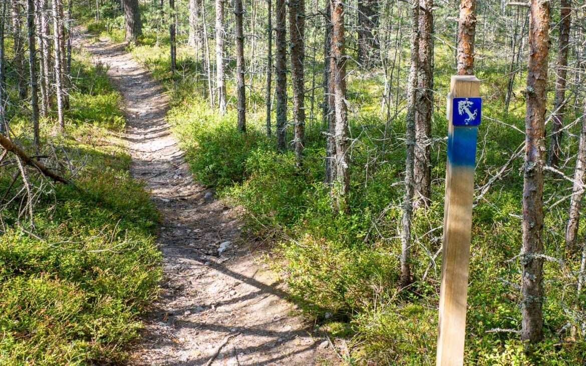 Lassen polku Myrskylä Kesäyhteenveto 2024