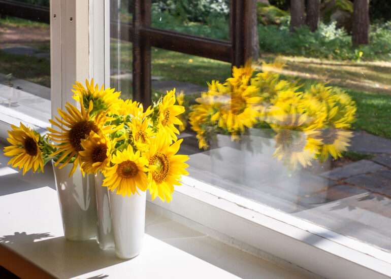 Auringonkukkia Sunilan Aalto-kodit